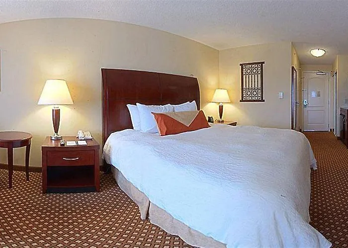 Discovering the Best Hotels in El Paso, TX for Your Stay