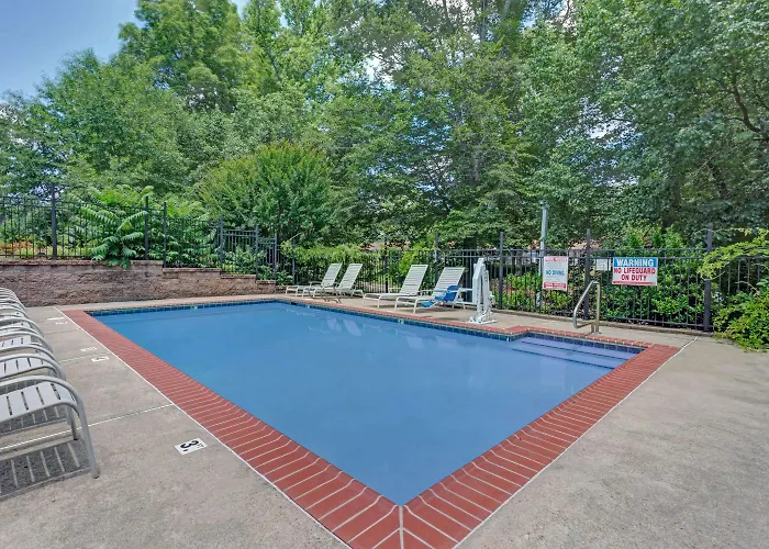 Top-Rated Hotels Steps Away from Busch Gardens