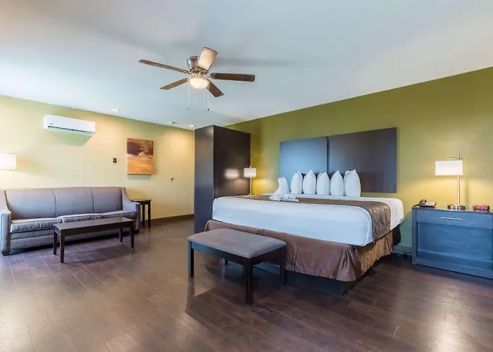 Best Corpus Christi Beach Hotels