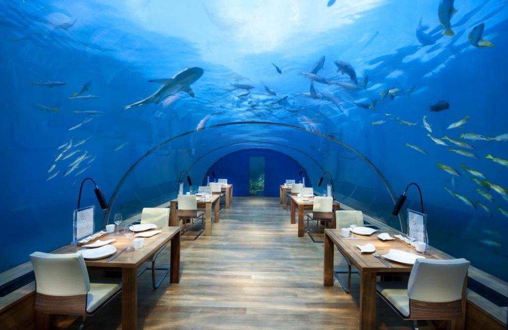5 reasons why you want to stay at this hotel | The Muraka Maldives