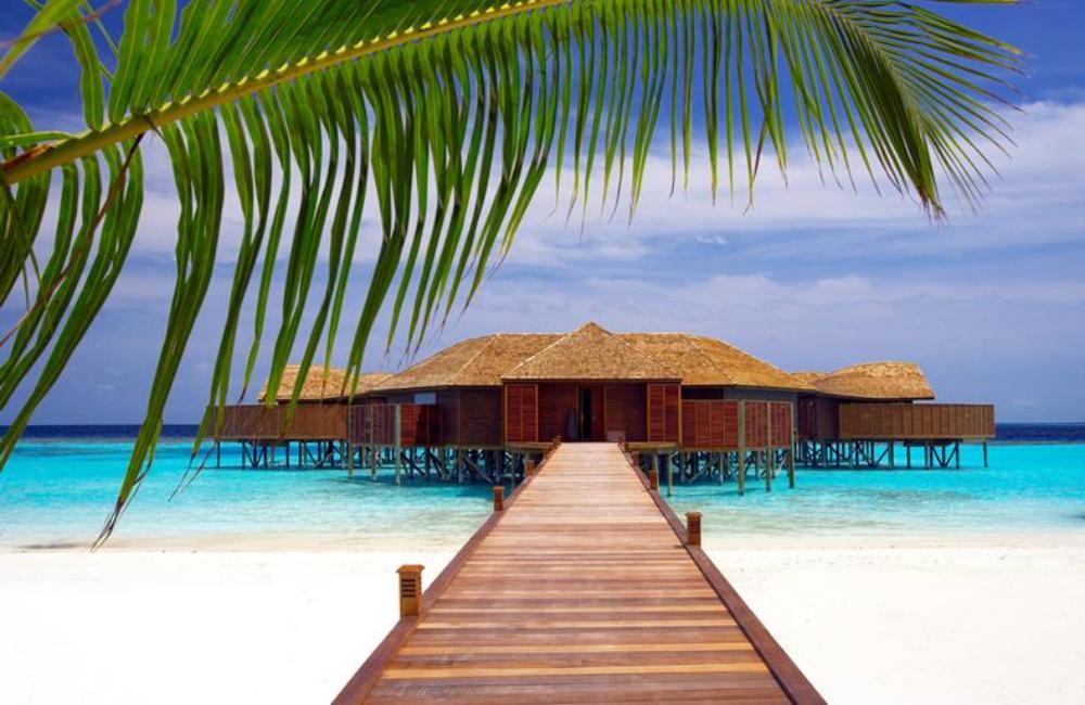 The most beautiful hotels in the Maldives | Discover these paradisiacal spots!
