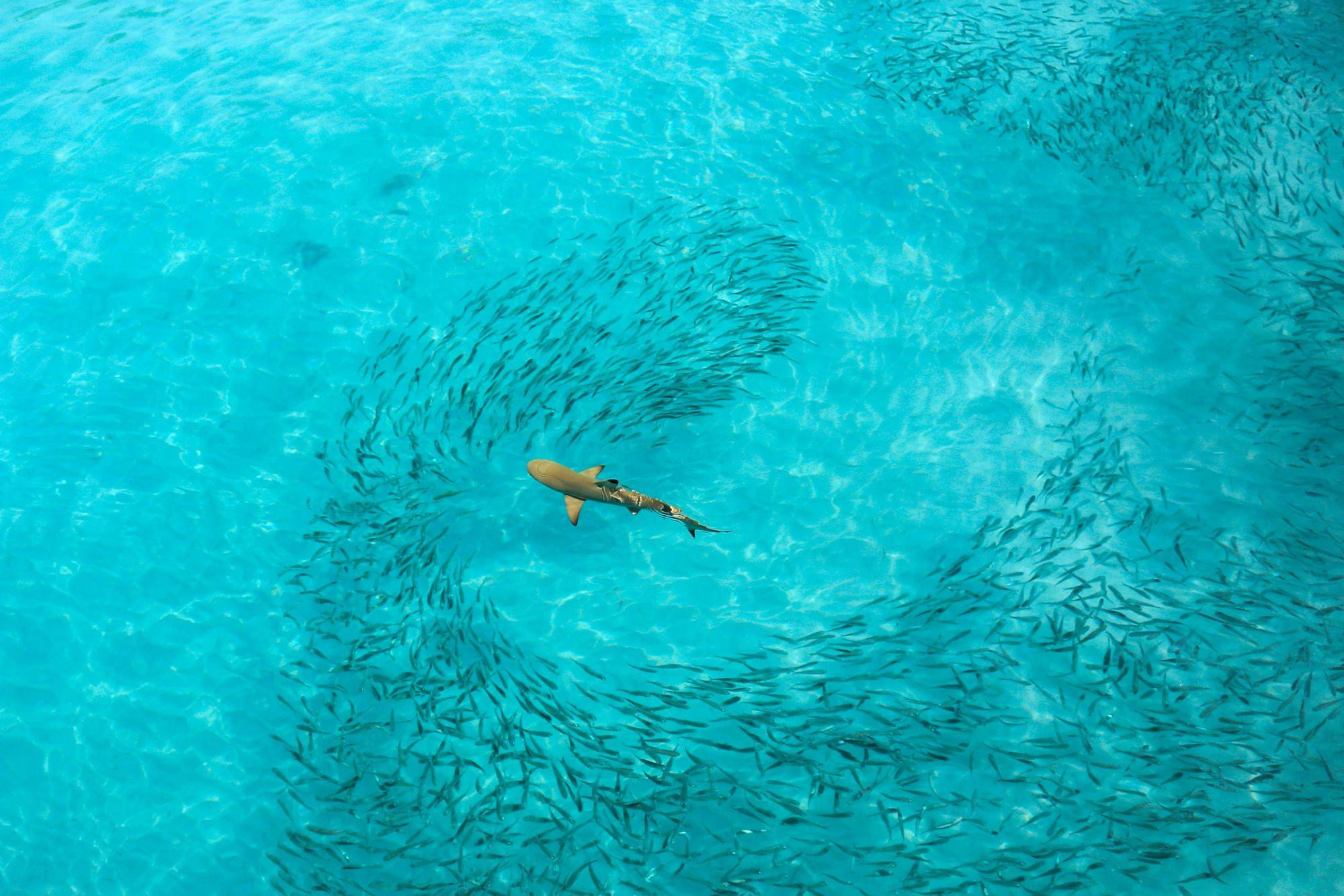 Una settimana alle Maldive: cosa fare