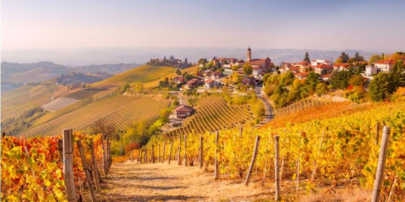 Langhe: What to see and do with map