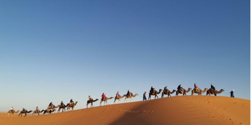 camel-riding