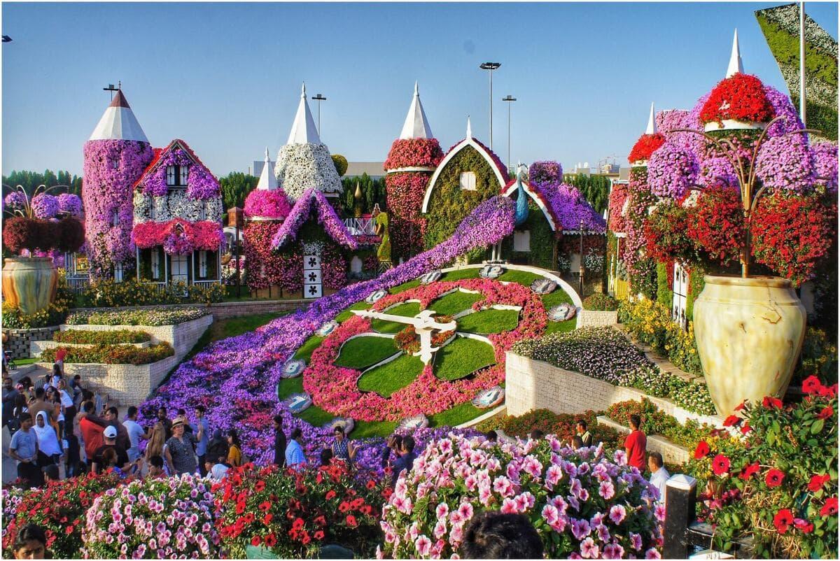 Dubai Miracle Garden, the world's largest flower show