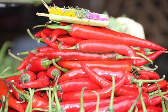 bali en un viaje a indonesia