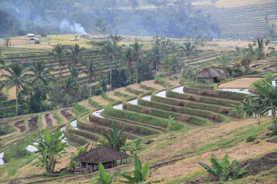 bali en un viaje a indonesia