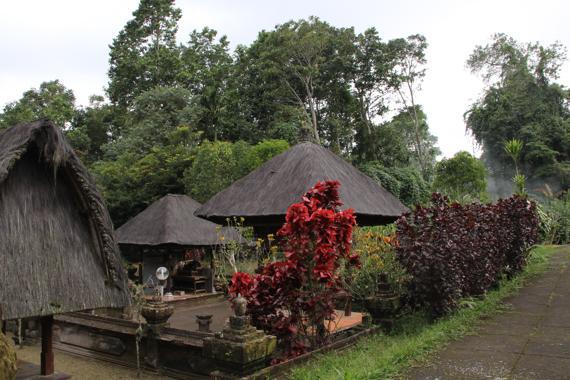 bali en un viaje a indonesia