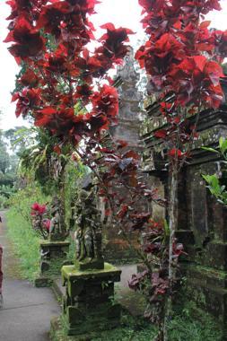 bali en un viaje a indonesia