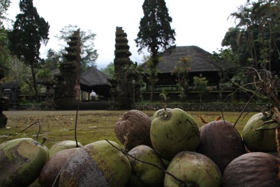 bali en un viaje a indonesia