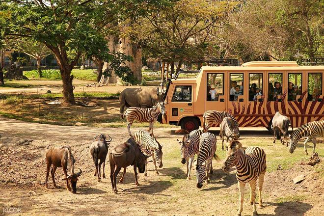 Bali Safari & Marine Park