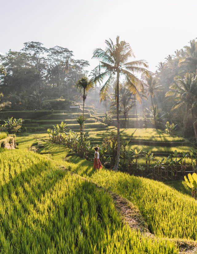 Ubud Bali: 10 magical places and beautiful activities you can't miss