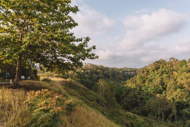 Ubud Bali Campuhan Ridge Walk Aussicht